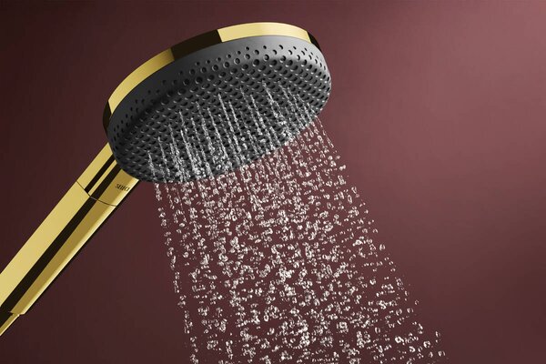 Hansgrohe Raindance Alive Select S duș de mână auriu 24511990