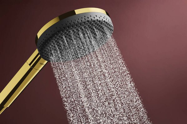 Hansgrohe Raindance Alive Select S duș de mână auriu 24511990
