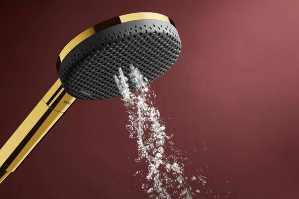 Hansgrohe Raindance Alive Select S duș de mână auriu 24511990
