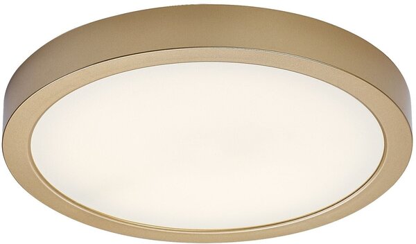 Rabalux Shaun Plus plafoniera de exterior 1x30 W auriu 75079
