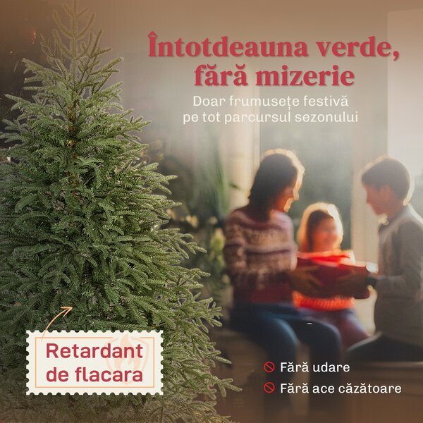 HOMCOM Brad de Crăciun Plin de 150 cm cu Vârfuri Dense și Realiste, Montaj Ușor - Verde | Aosom Romania
