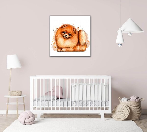 Impresi Obraz Dog Pomeranian - 20 x 20 cm