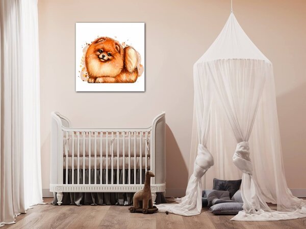 Impresi Obraz Dog Pomeranian - 20 x 20 cm