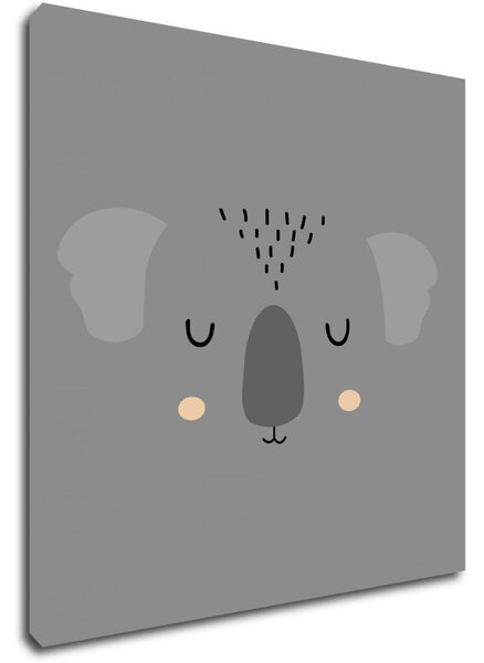 Impresi Obraz Little koala - 20 x 20 cm