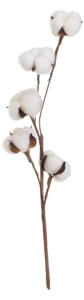 Plantă uscată (înălțime 55 cm) Cotton – Casa Selección