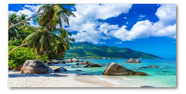 Tablou pe pe sticlă plaja Seychelles