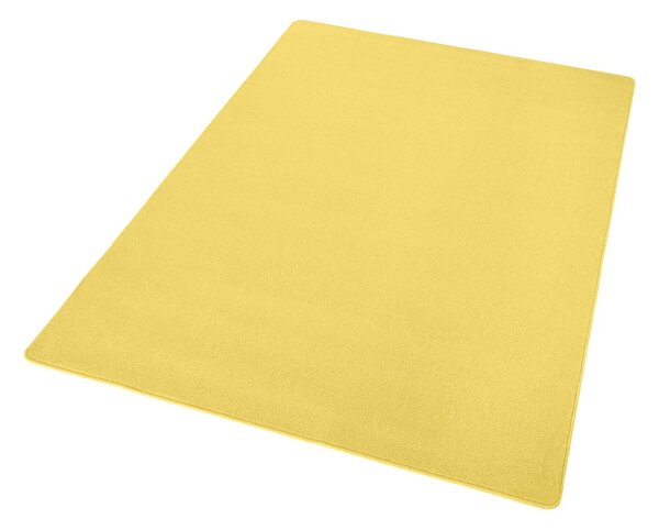 Covor galben 160x240 cm Fancy – Hanse Home