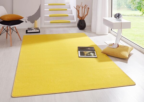 Covor galben 160x240 cm Fancy – Hanse Home