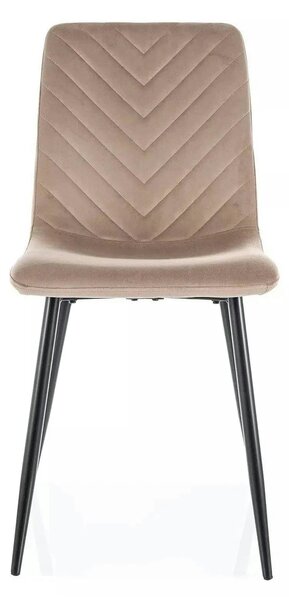 Scaun DAREN, bej inchis - Bluvel 40, stofa catifelata/metal, 45x39x91