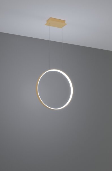 Lustră LED pe cablu RIO LED/30W/230V CRI95 4000K d. 55 cm auriu Thoro TH.221