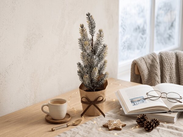 Bradut decorativ de Craciun FROSTY TREE in ghiveci 22 cm