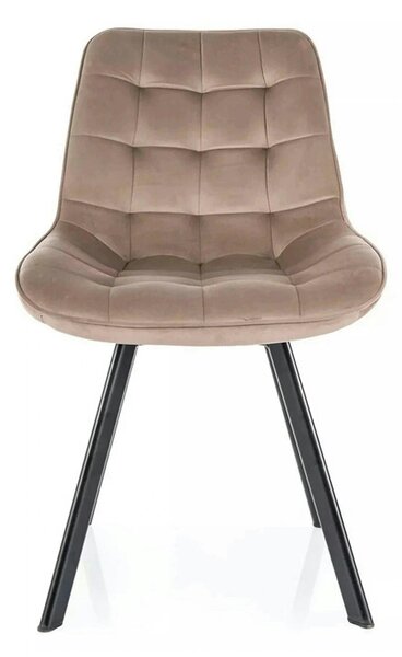 Scaun MONTI, bej inchis - Bluvel 40, stofa catifelata/metal, 51x60x88