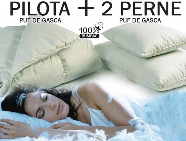 Set din puf de gasca: Pilota 200 x 230 cm + 2 perne 50 x 70 cm