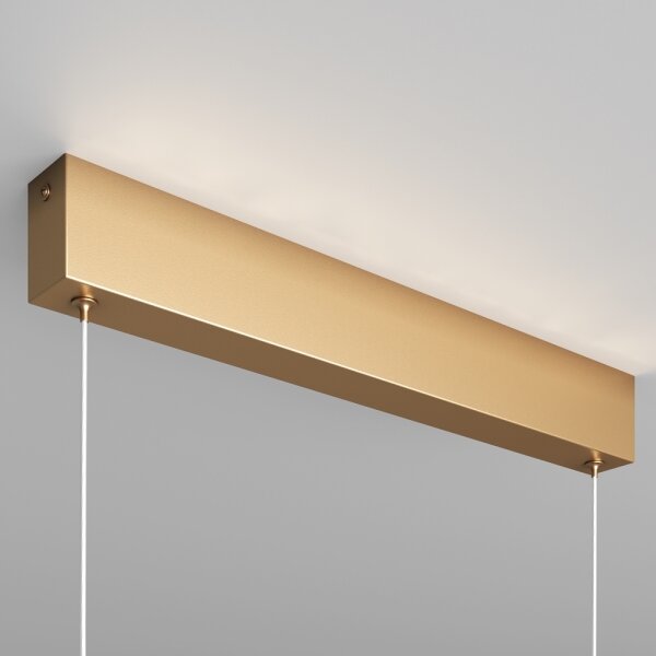 Lustră LED pe cablu Maytoni P010PL-L23G3K STEP LED/23W/230V 3000K 91 cm auriu