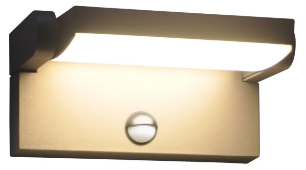 Brilagi - LED Aplica de perete pentru exterior ANKLE LED/12W/230V IP65 negru