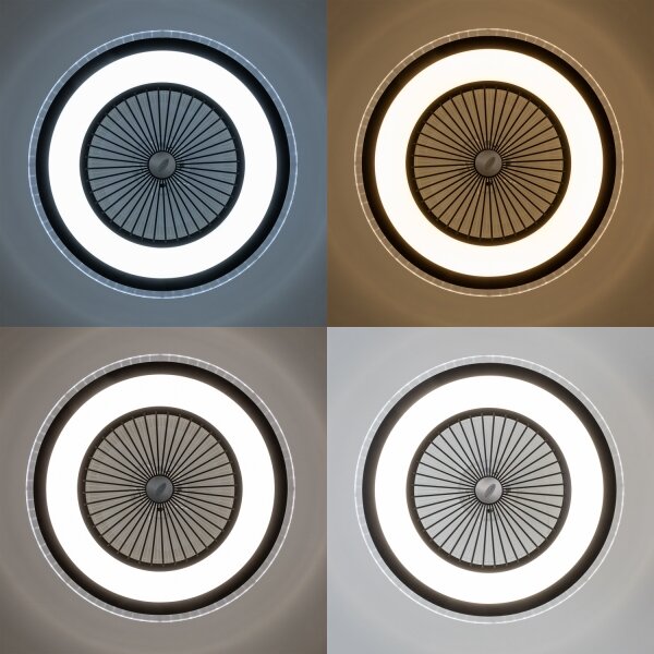 Plafonieră LED dimabilă cu ventilator Brilagi RONDA LED/48W/230V negru + telecomandă