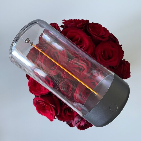 Lampă LED reîncărcabilă dimabilă Zuma Line 1001 ESTERNO LED/0,5W/230V negru IP54