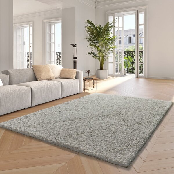 Covor alb 60x120 cm Atesa – Universal
