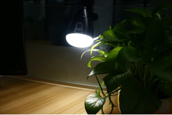 Lampă LED cu clemă LED/5W/5V/4000K