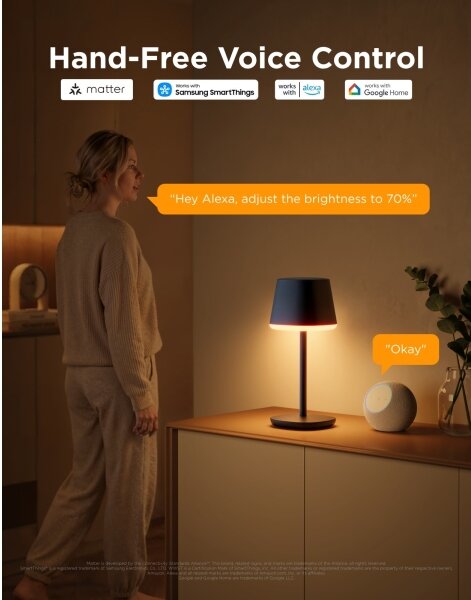 Govee - LED RGBICWW Lampă de masă cu intensitate reglabilă CLASSIC MATTER LED/10W/5V Wi-Fi