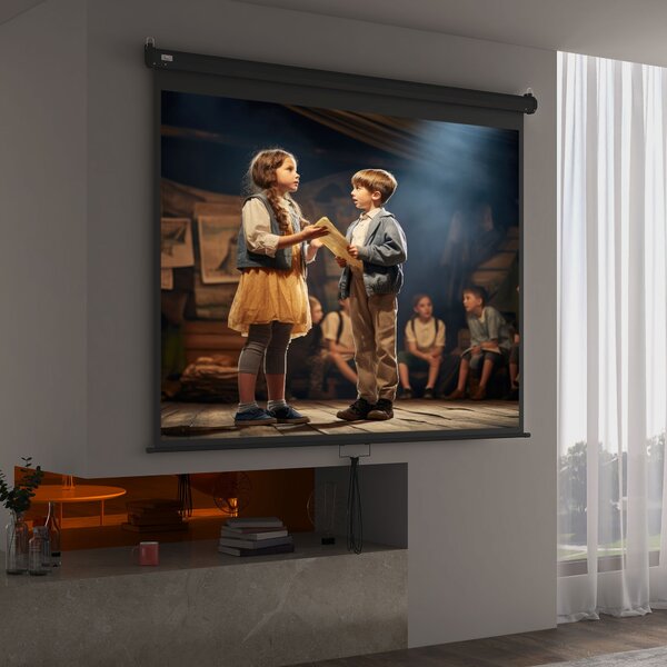 HOMCOM Ecran de Proiecție 100 Inch Reglabil, cu Montare pe Tavan și Perete, Pânză pentru Proiector, 203x152 cm, Negru | Aosom Romania