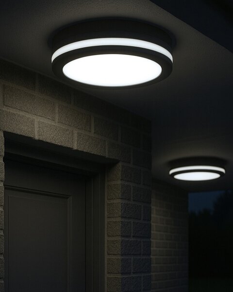 Plafonieră LED cu senzor de mișcare LED/20W/230V 3000/4000/6500K IP54 antracit
