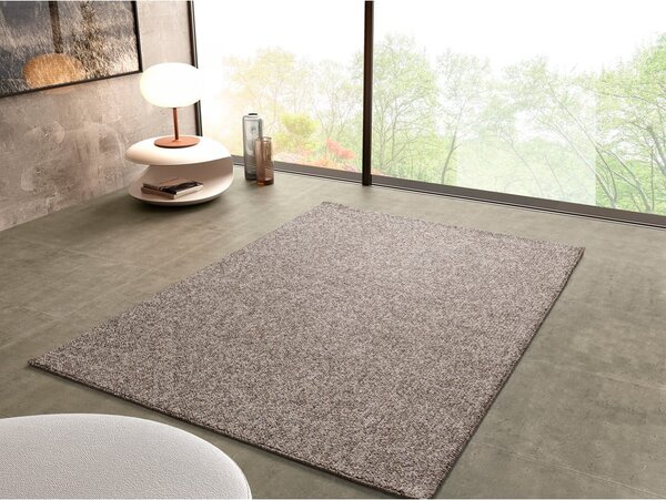 Covor gri/bej 120x170 cm Petra Liso – Universal
