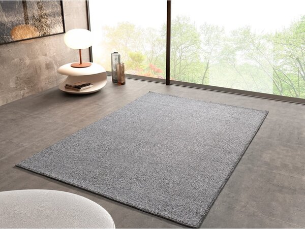 Covor gri deschis 120x170 cm Petra Liso – Universal