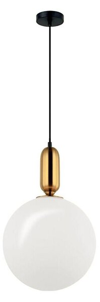 Lustră suspendată pe cablu NEPTUNE 1xE27/40W/230V aurie