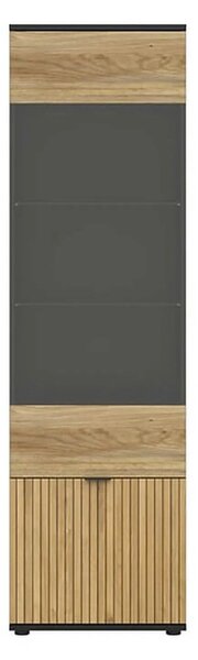 Vitrina LUEN, stejar/negru, PAL laminat/sticla securizata, 57x40x196 c