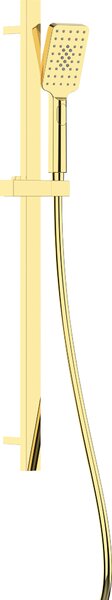Deante Alpinia, coloana de dus 80cm cu cap manual cu 3 functii si furtun de dus 150cm, auriu lucios, DEA-NGA_Z52K