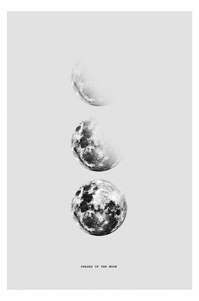 Poster Finlay & Noa - Moon 5, (40 x 60 cm)