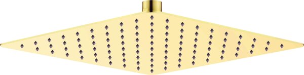 Deante Cascada, cap de dus inox 250x250 mm, auriu lucios, DEA-NAC_Z02K
