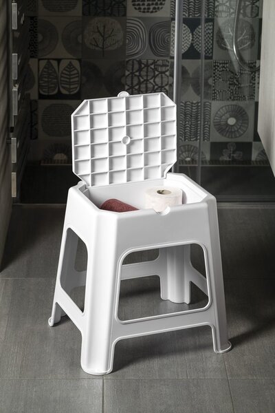 BISK Accesorii Erga, scaun baie cu spatiu depozitare 420x365x425 mm, alb, ERG-90902