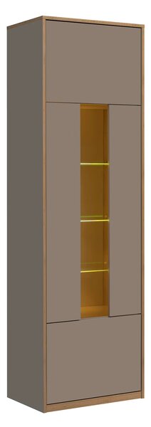 Vitrina pentru living COMPLEX, gri/stejar, PAL laminat, 60x40x196 cm