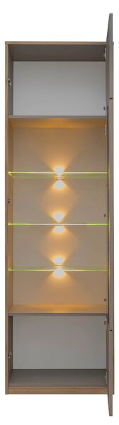 Vitrina pentru living COMPLEX, gri/stejar, PAL laminat, 60x40x196 cm