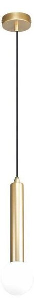 ITALUX PND-33574-1-GD - Pendul FILANO suspendat pe cablu, 1xG9/5W/230V, auriu