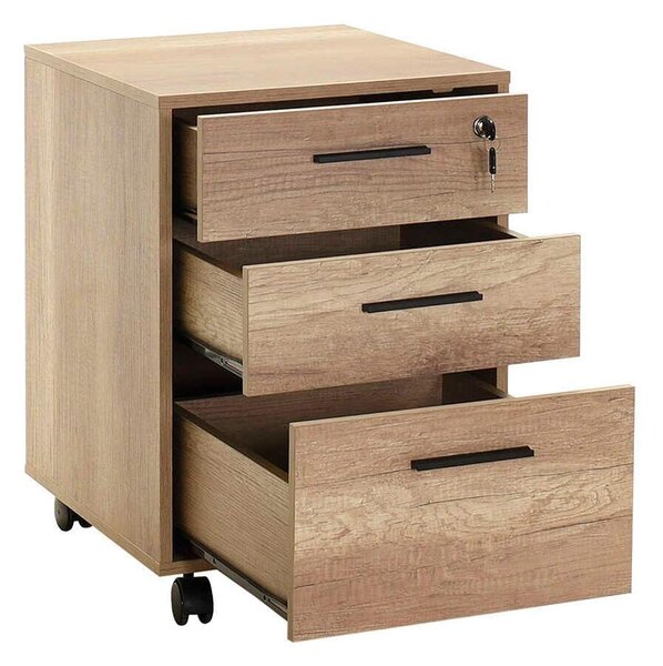 Dulap cu roți Belisu 1 (stejar) . 1094261