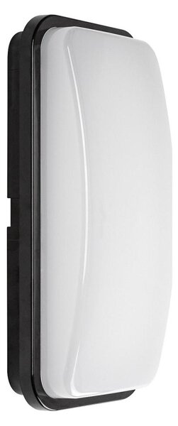 Rabalux 77230 - Aplică LED de exterior pentru perete ORLUN LED/20W/230V 4000K IP65