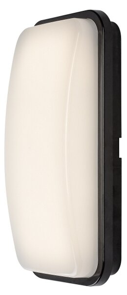 Rabalux 77230 - Aplică LED de exterior pentru perete ORLUN LED/20W/230V 4000K IP65