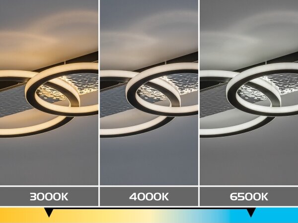 Rabalux 71497 - Plafonieră LED dimabilă LUNAVA 24W/230V 3000-6500K + telecomandă