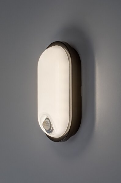 Rabalux 77231 - LED plafonieră de exterior cu senzor HORT2 15W/230V IP65 neagră