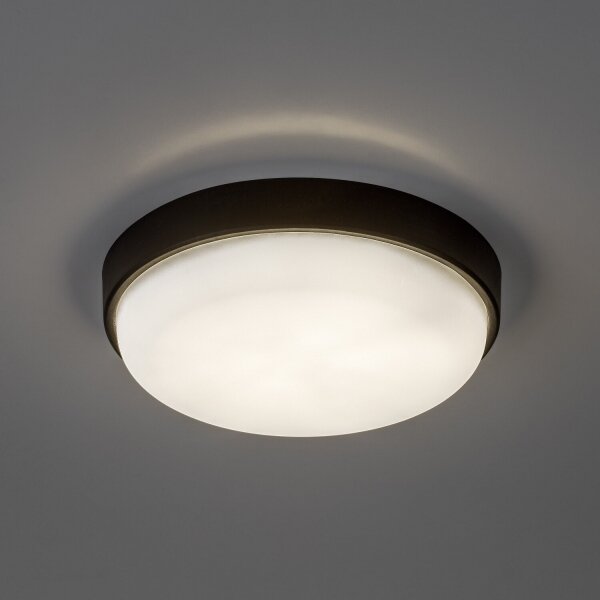 Rabalux 77223 - plafonieră LED de exterior HORT2 LED/14W/230V IP54 neagră