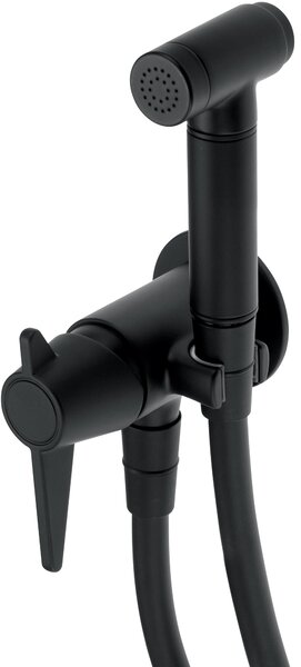Deante Temisto, baterie pentru bideu ascuns, negru mat, DEA-BQT_N34M