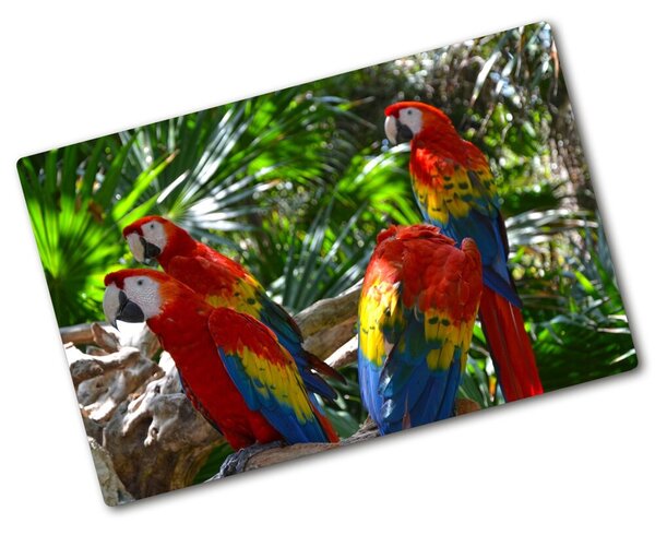Tocător din sticlă papagali Macaws