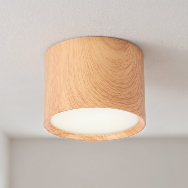 BRILAGI - Corp spot pentru baie SMOOTH 1xGX53/15W/230V 60x82 mm finisaj stejar IP54