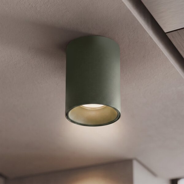 BRILAGI - Spot TRINE 1xGU10/30W/230V verde închis