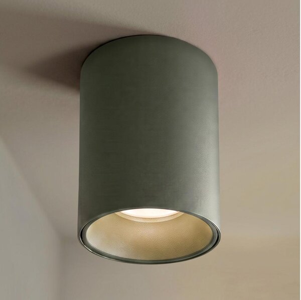 BRILAGI - Spot TRINE 1xGU10/30W/230V verde închis