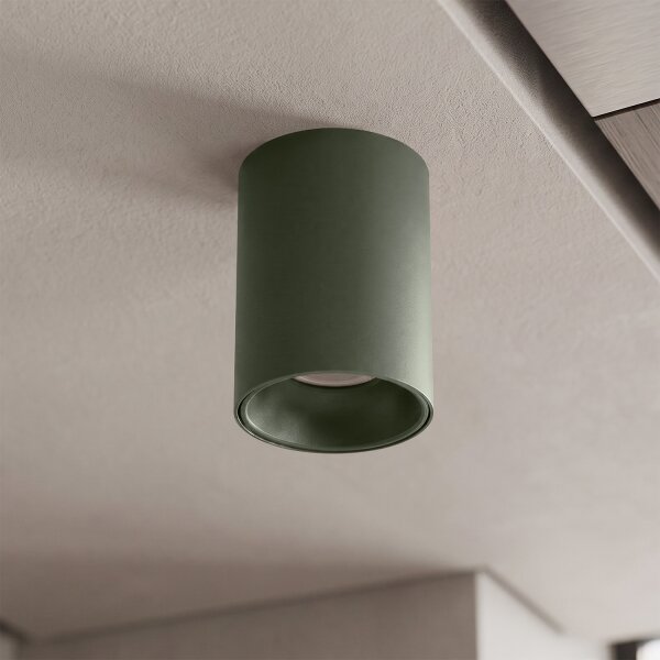BRILAGI - Spot TRINE 1xGU10/30W/230V verde închis