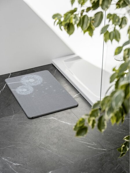 Covoraș de baie gri din diatomit 39x60 cm Astera – Wenko